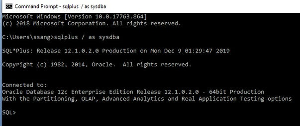 Oracle 12c